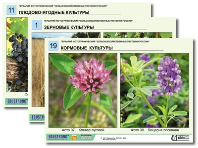 Гербарий фотографический Сельскохозяйственные растения России