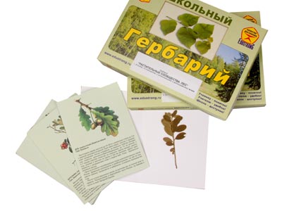 Гербарий Растительные сообщества. Лес (9 видов, 10 планшетов, с иллюстрациями и фотографиями)